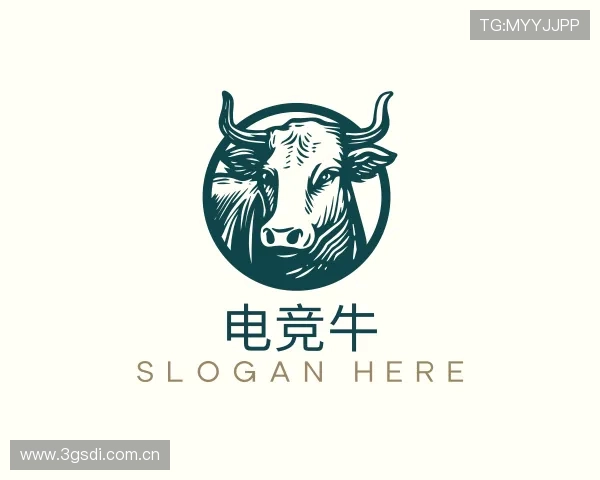 介绍赛事数据